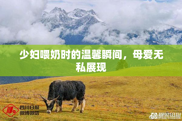 少妇喂奶时的温馨瞬间，母爱无私展现