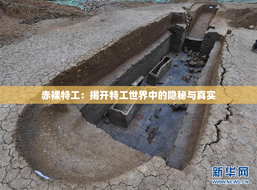 赤裸特工：揭开特工世界中的隐秘与真实