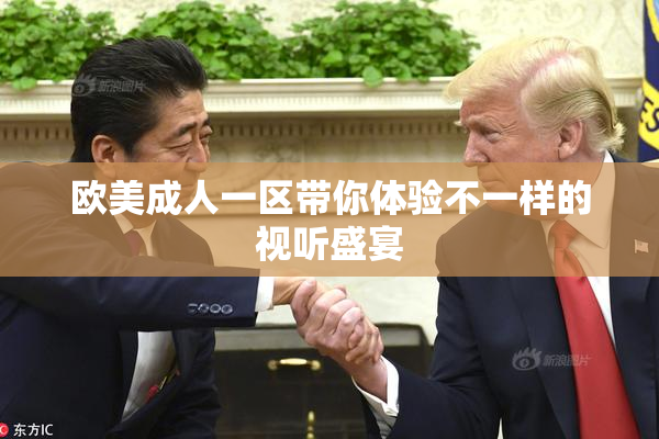 欧美成人一区带你体验不一样的视听盛宴