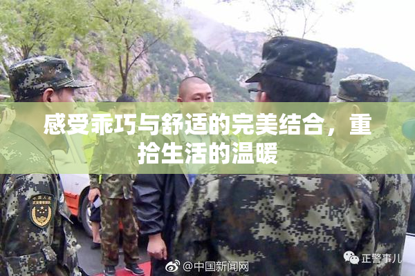 感受乖巧与舒适的完美结合，重拾生活的温暖