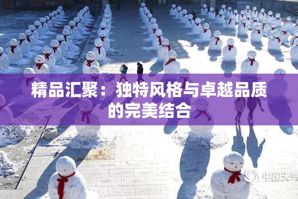 精品汇聚：独特风格与卓越品质的完美结合