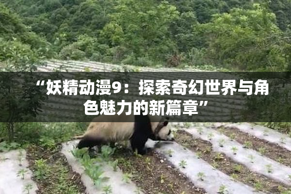 “妖精动漫9：探索奇幻世界与角色魅力的新篇章”