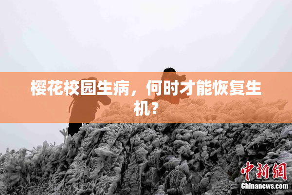 樱花校园生病，何时才能恢复生机？