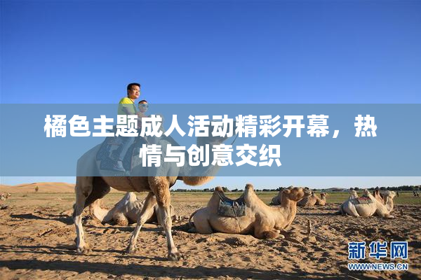 橘色主题成人活动精彩开幕，热情与创意交织
