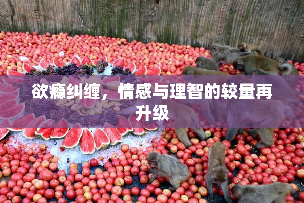 欲瘾纠缠，情感与理智的较量再升级