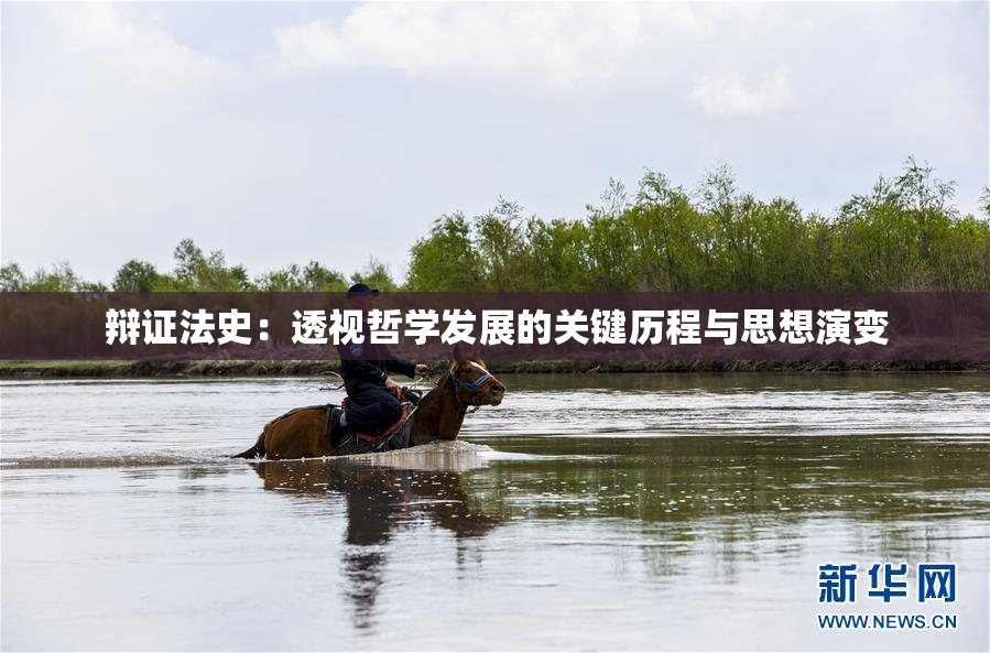 辩证法史：透视哲学发展的关键历程与思想演变