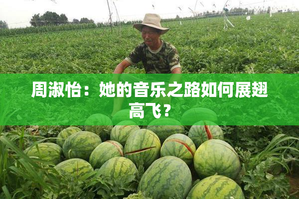 周淑怡：她的音乐之路如何展翅高飞？