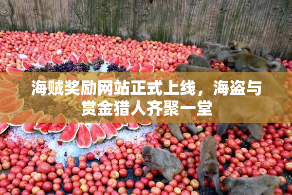 海贼奖励网站正式上线，海盗与赏金猎人齐聚一堂