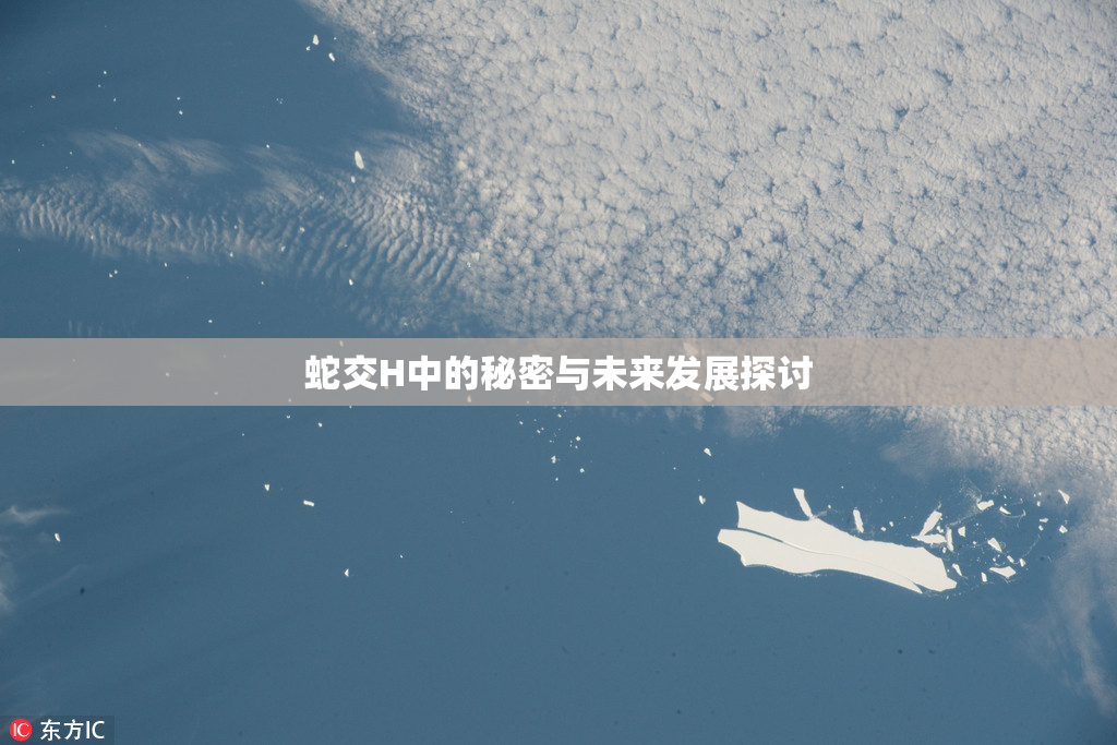 蛇交H中的秘密与未来发展探讨