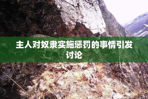 主人对奴隶实施惩罚的事情引发讨论