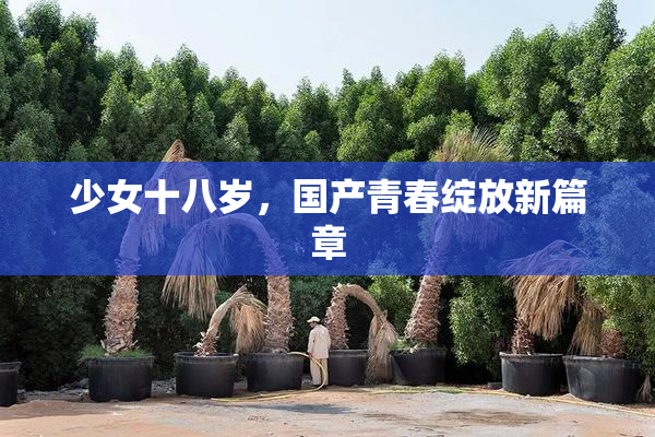 少女十八岁，国产青春绽放新篇章