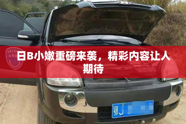 日B小嫩重磅来袭，精彩内容让人期待