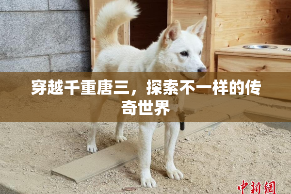 穿越千重唐三，探索不一样的传奇世界