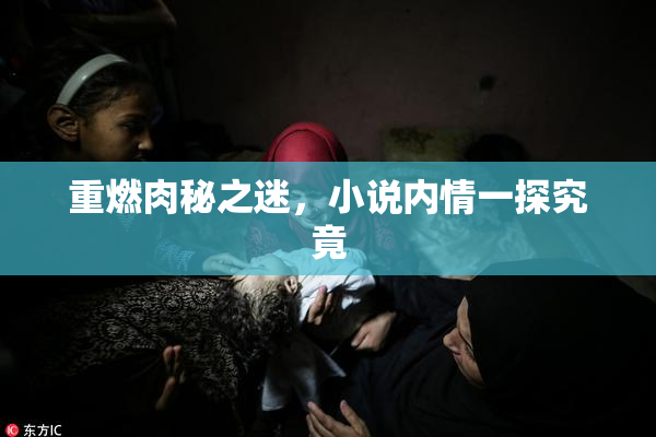 重燃肉秘之迷，小说内情一探究竟