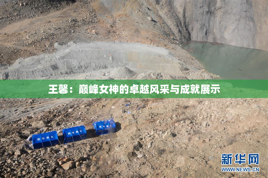 王馨：巅峰女神的卓越风采与成就展示