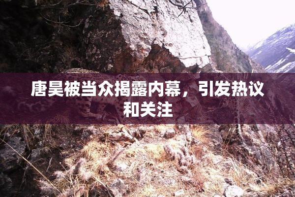 唐昊被当众揭露内幕，引发热议和关注