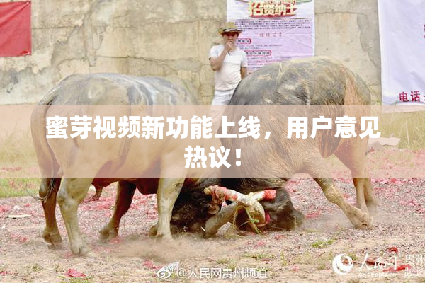 蜜芽视频新功能上线，用户意见热议！
