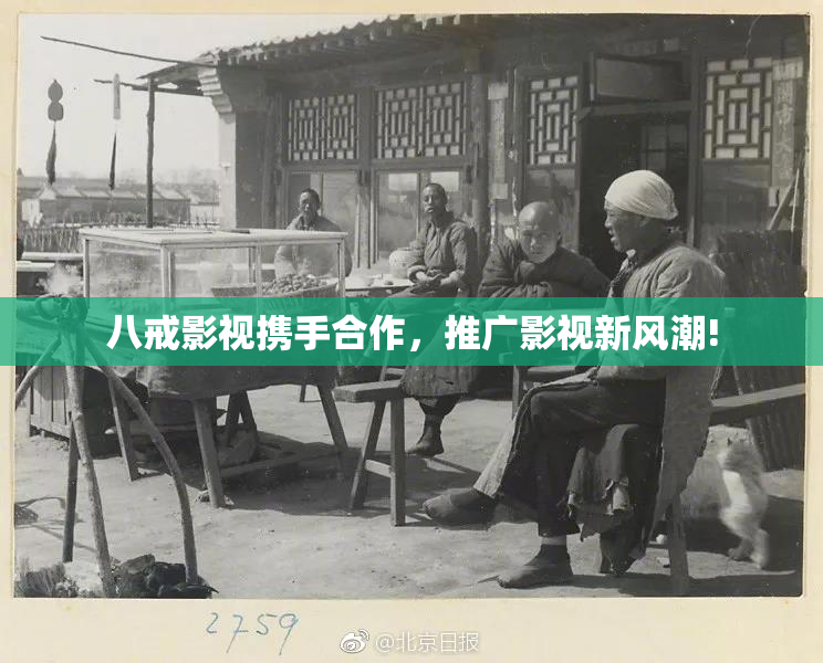 八戒影视携手合作，推广影视新风潮!