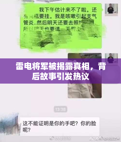 雷电将军被揭露真相，背后故事引发热议