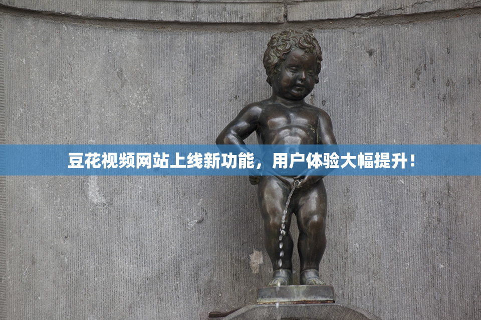 豆花视频网站上线新功能，用户体验大幅提升！