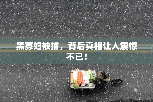 黑寡妇被捕，背后真相让人震惊不已！