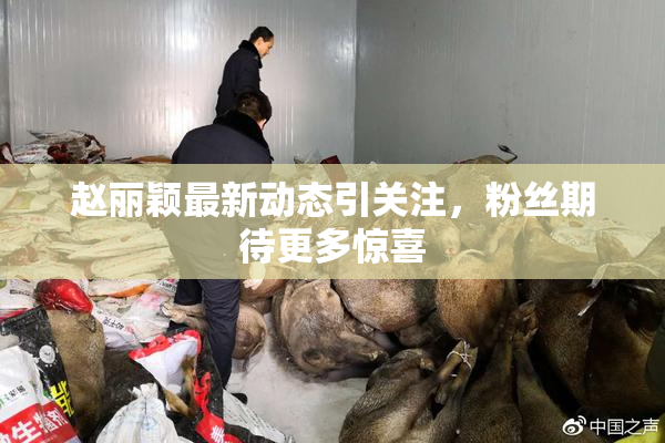 赵丽颖最新动态引关注，粉丝期待更多惊喜