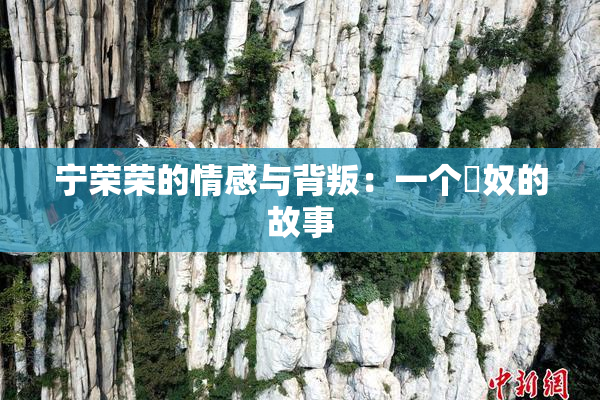 宁荣荣的情感与背叛：一个婬奴的故事