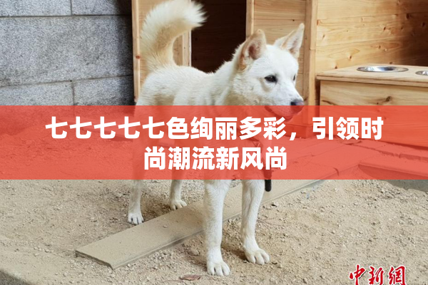 七七七七七色绚丽多彩，引领时尚潮流新风尚
