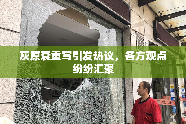 灰原衰重写引发热议，各方观点纷纷汇聚
