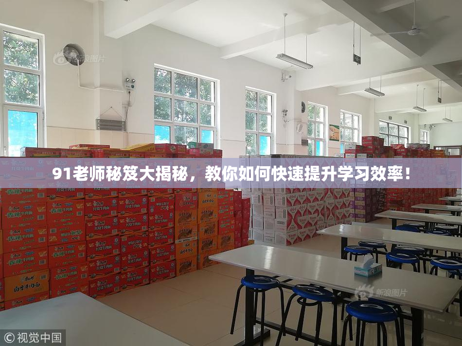 91老师秘笈大揭秘，教你如何快速提升学习效率！