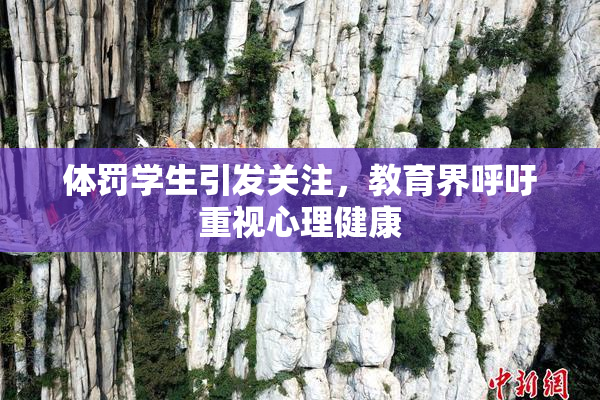 体罚学生引发关注，教育界呼吁重视心理健康