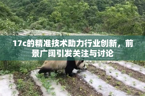 17c的精准技术助力行业创新，前景广阔引发关注与讨论