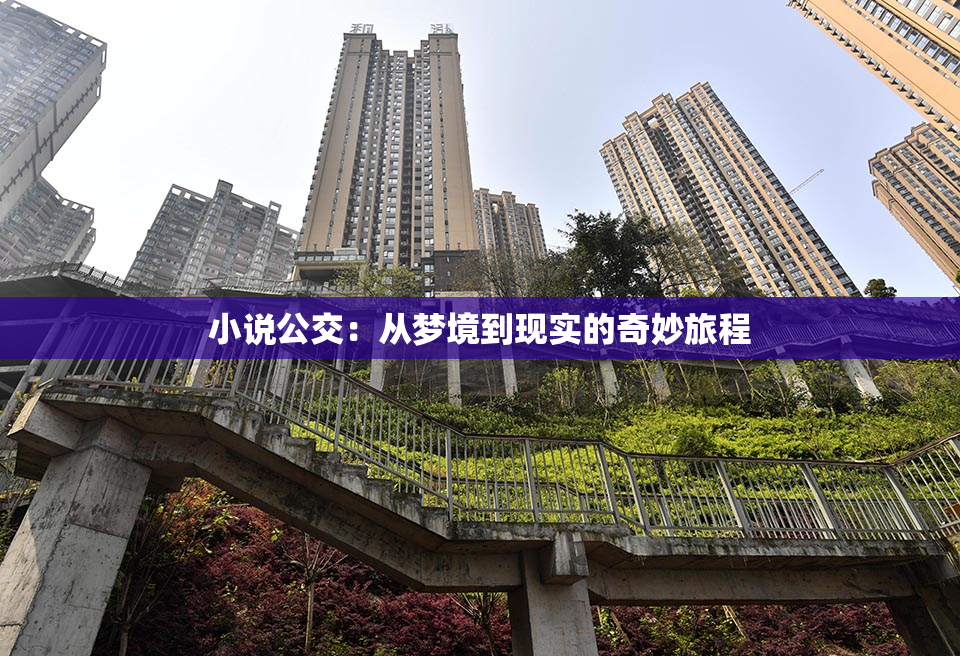 小说公交：从梦境到现实的奇妙旅程