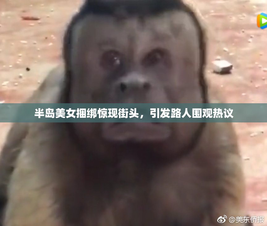 半岛美女捆绑惊现街头，引发路人围观热议