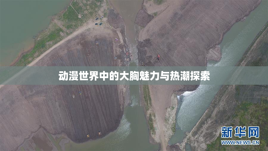 动漫世界中的大胸魅力与热潮探索