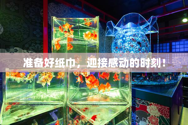 准备好纸巾，迎接感动的时刻！