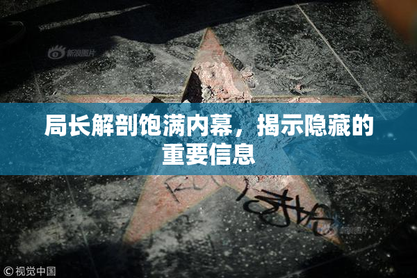 局长解剖饱满内幕，揭示隐藏的重要信息