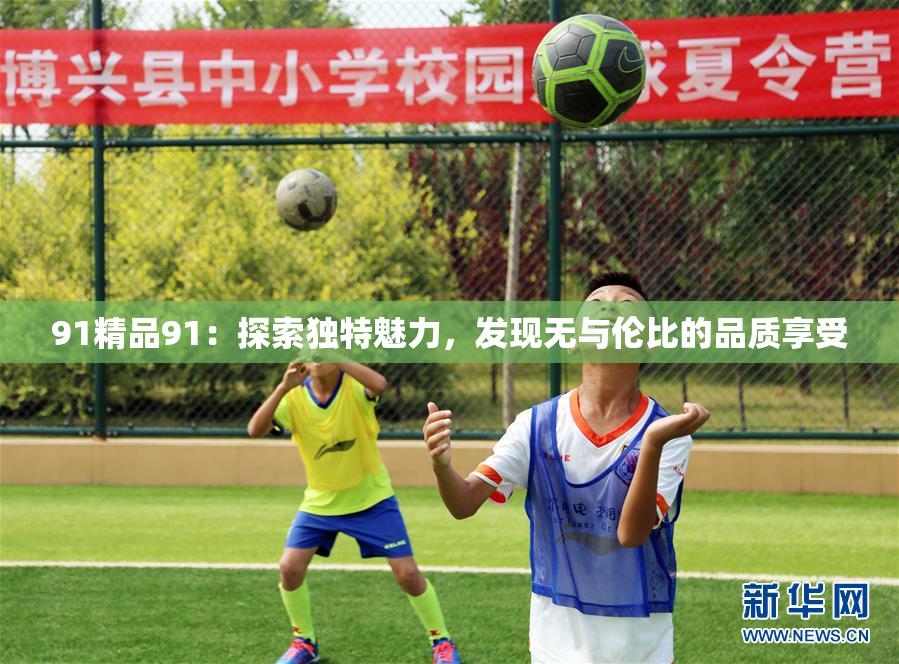 91精品91：探索独特魅力，发现无与伦比的品质享受