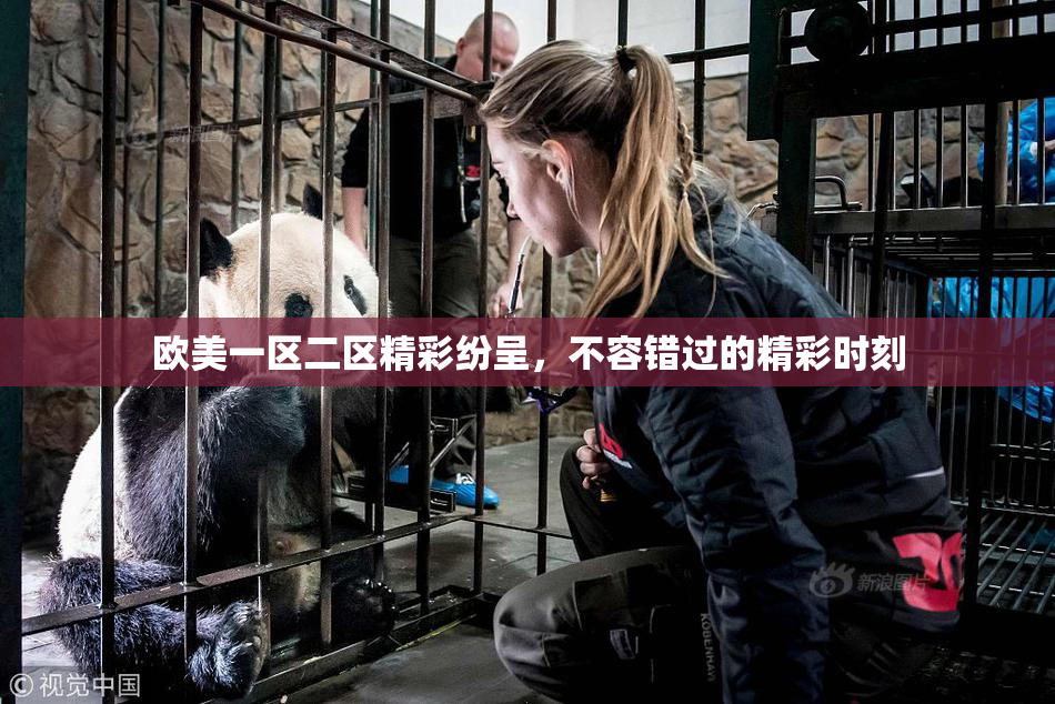 欧美一区二区精彩纷呈，不容错过的精彩时刻
