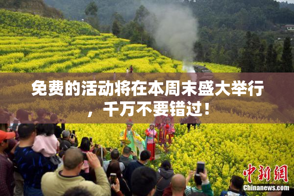 免费的活动将在本周末盛大举行，千万不要错过！
