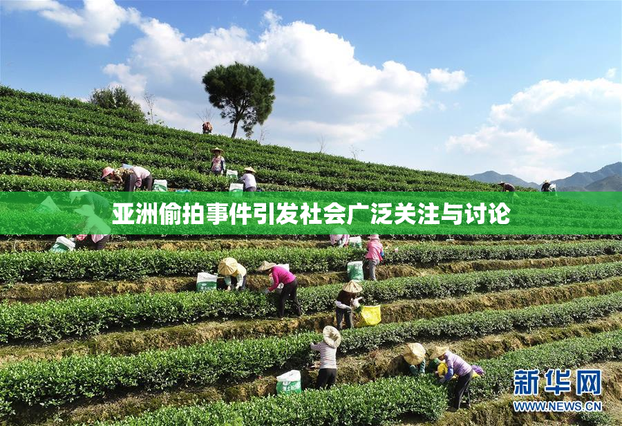亚洲偷拍事件引发社会广泛关注与讨论