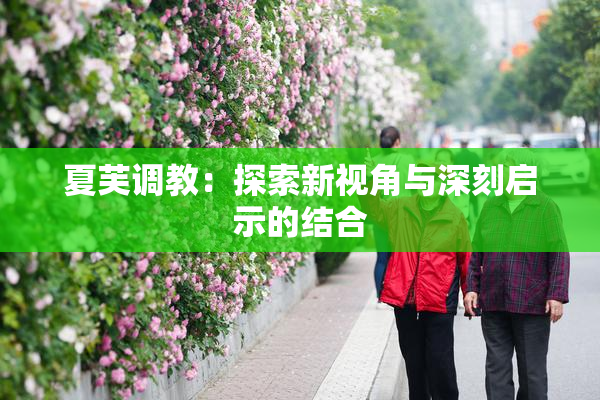 夏芙调教：探索新视角与深刻启示的结合