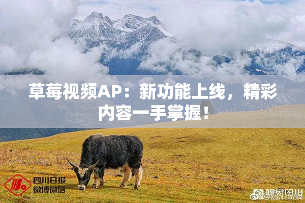 草莓视频AP：新功能上线，精彩内容一手掌握！