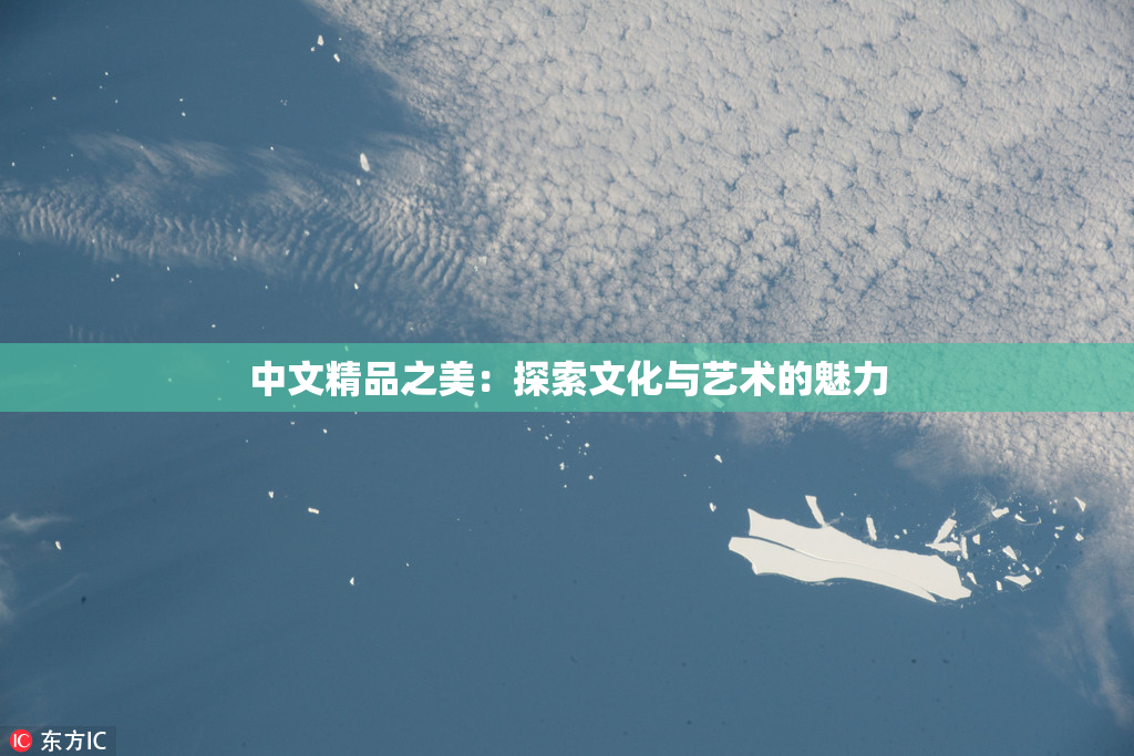 中文精品之美：探索文化与艺术的魅力
