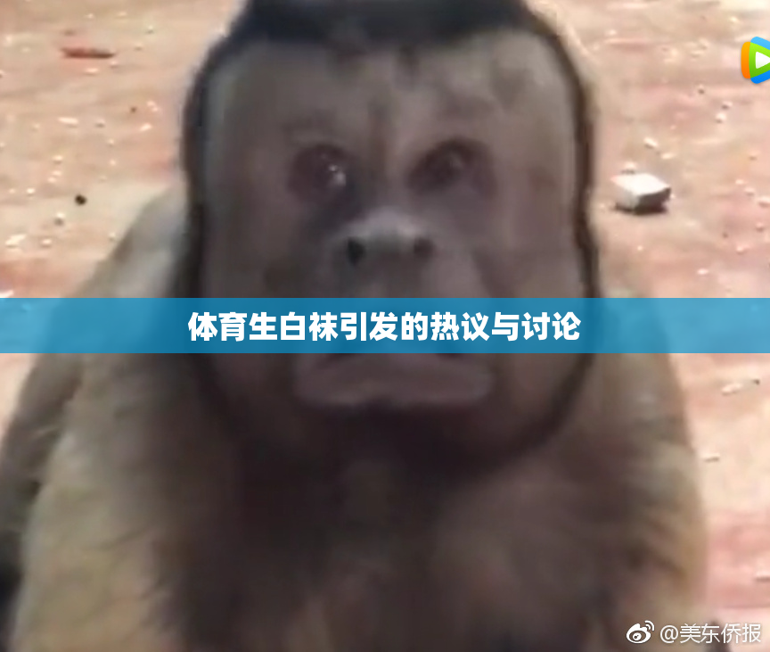 体育生白袜引发的热议与讨论
