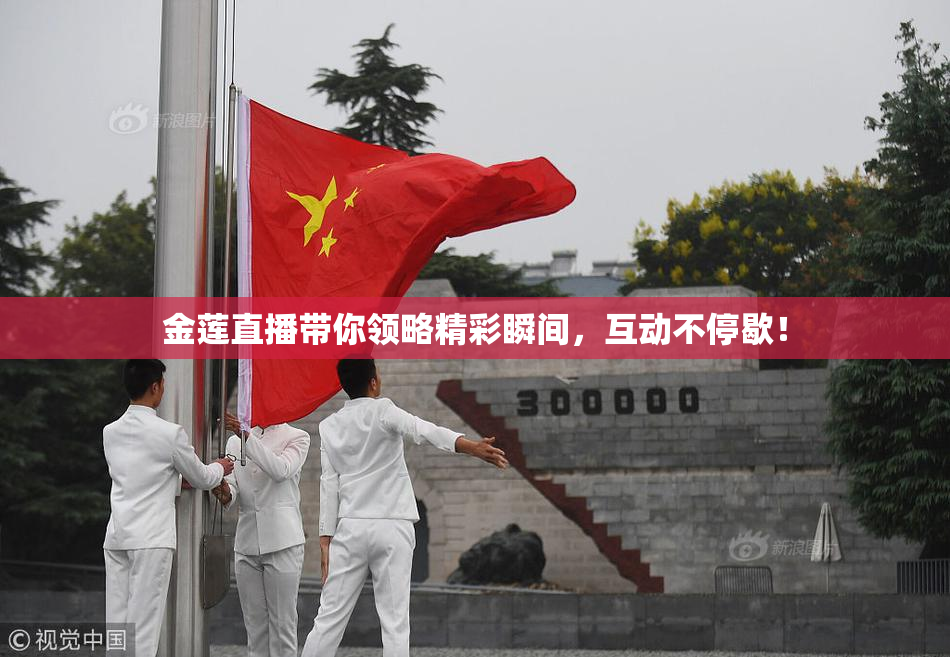 金莲直播带你领略精彩瞬间，互动不停歇！
