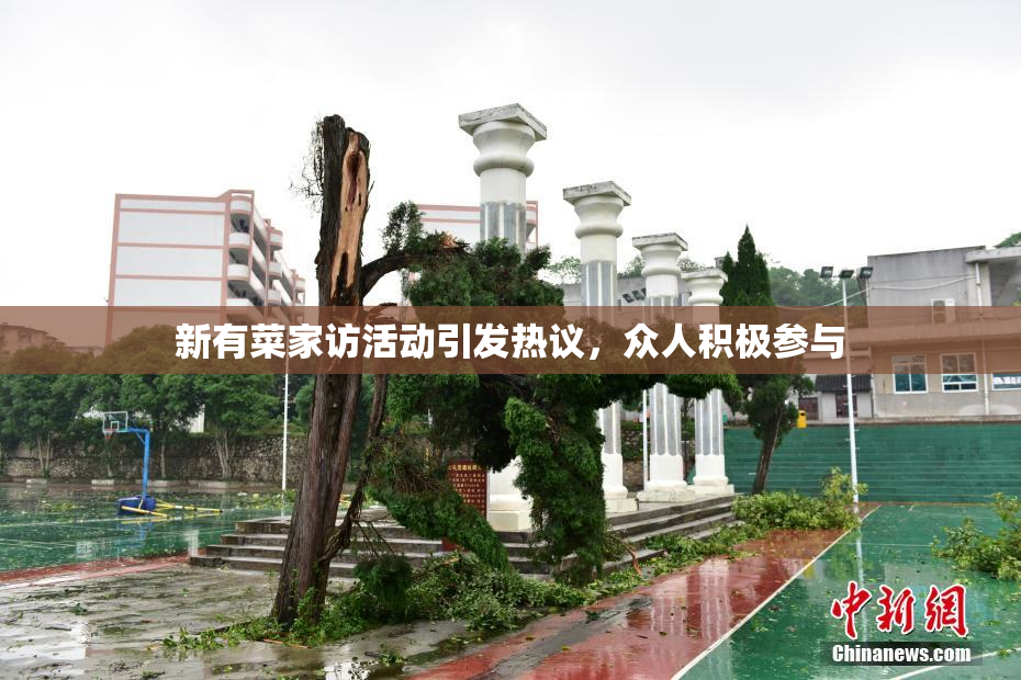 新有菜家访活动引发热议，众人积极参与
