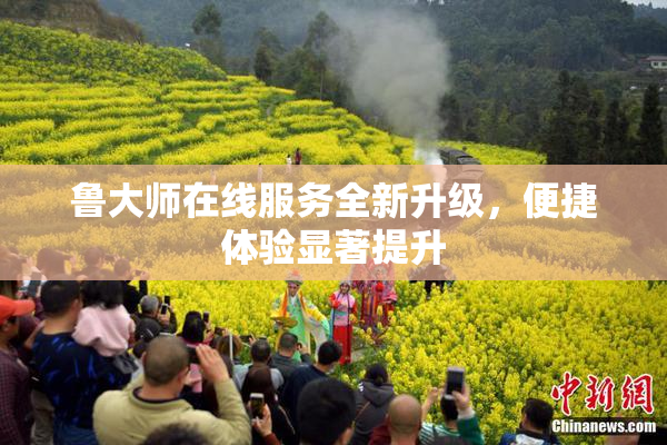 鲁大师在线服务全新升级，便捷体验显著提升
