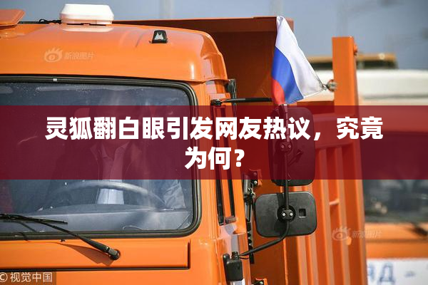 灵狐翻白眼引发网友热议，究竟为何？