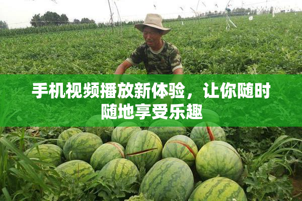 手机视频播放新体验，让你随时随地享受乐趣